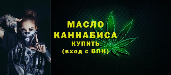 дживик Ельня