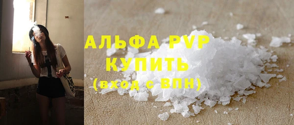 PSILOCYBIN Бородино