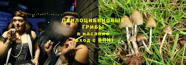 PSILOCYBIN Бородино
