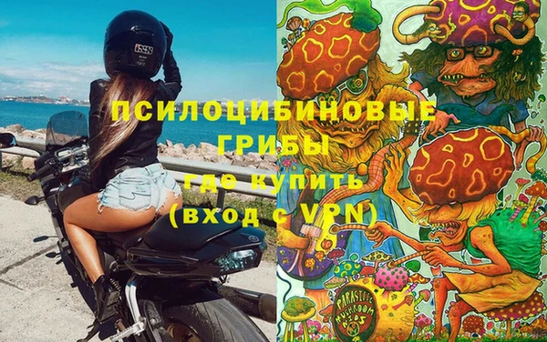 ALPHA-PVP Бугульма