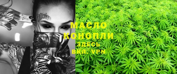 PSILOCYBIN Бородино