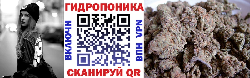 Шишки марихуана индика  KRAKEN зеркало  Новохопёрск 